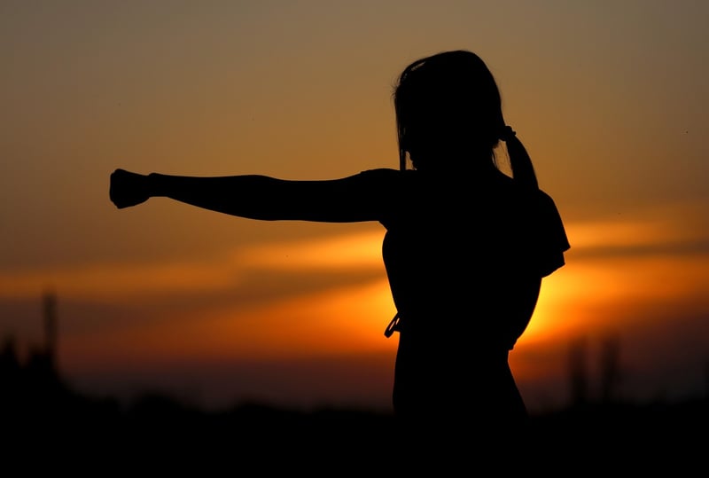 Wu Style Kung Fu Image